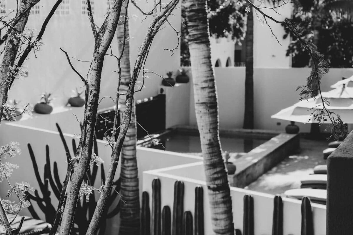 4 Charming Suite King Rooms In Luxurious Boutique Hotel San José del Cabo Buitenkant foto